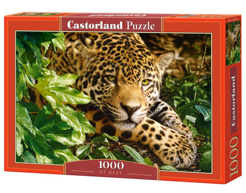 Puzzle At Rest 1000