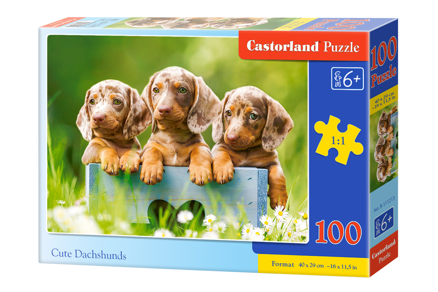 Puzzle Cute Dachshunds 100