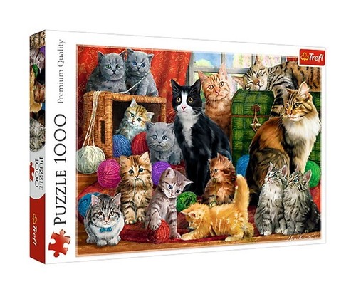 Puzzle Kocie spotkanie 1000