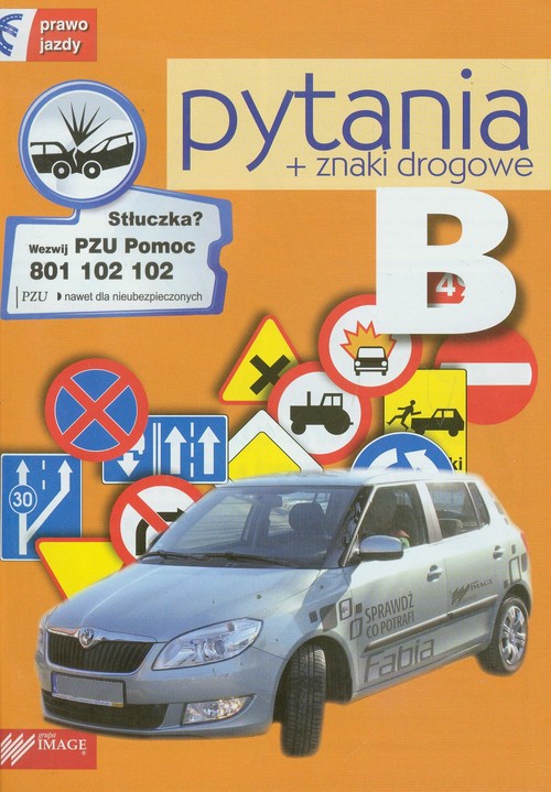 Pytania - kategoria B