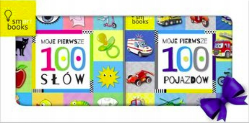 Ramka 2018 Boy Moje pierwsze 100 słów / Moje pierwsze 100 pojazdów