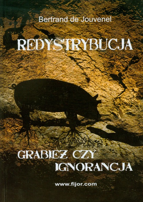 Redystrybucja. Grabież czy ignorancja