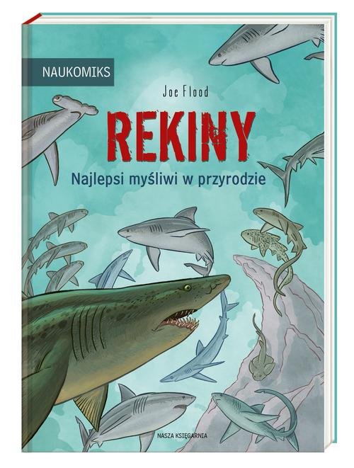 Rekiny - najlepsi myśliwi w przyrodzie