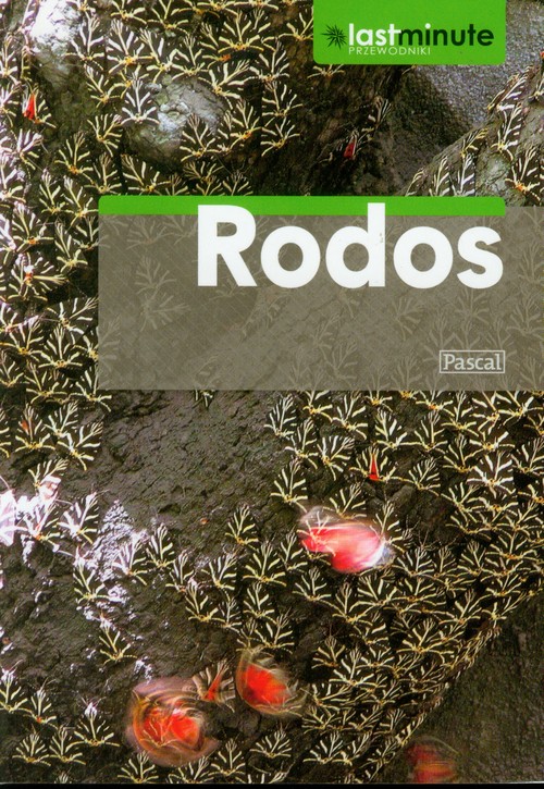 Rodos - przewodnik Last Minute