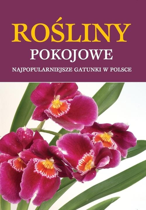 Rośliny pokojowe. Najpopularniejsze gatunki w Polsce