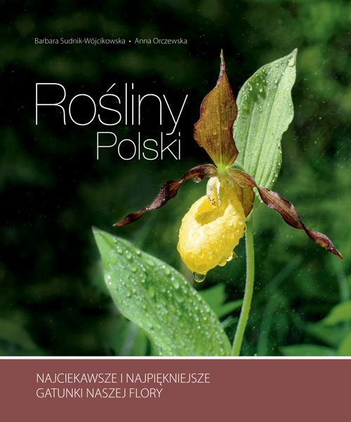 Rośliny Polski