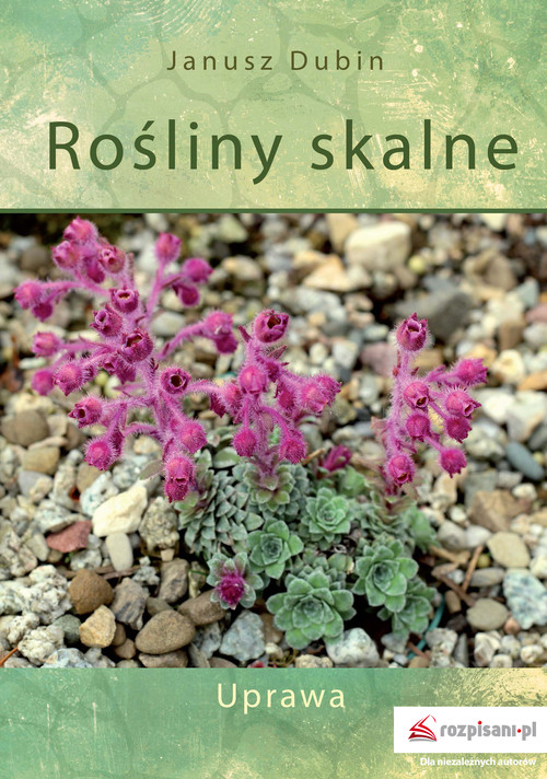 Rośliny skalne Uprawa