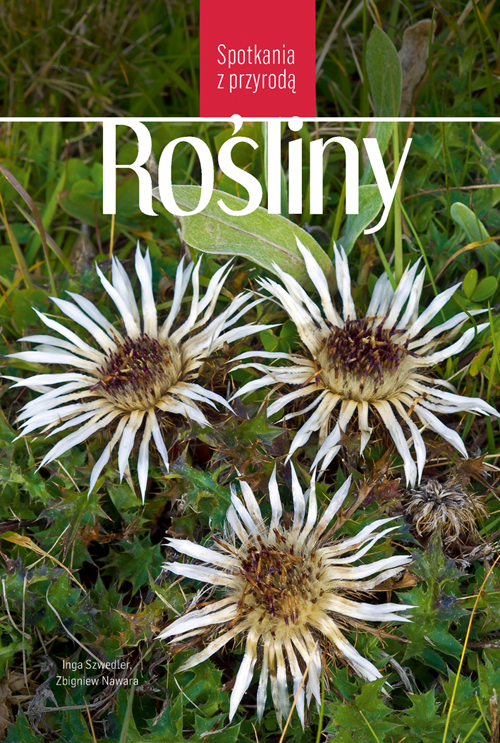 Rośliny Spotkania z przyrodą
