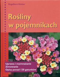 Rośliny w pojemnikach