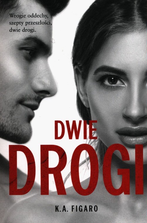 Rozchwiani Tom 4 Dwie drogi Rozchwiani