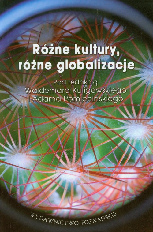 Różne kultury, różne globalizacje