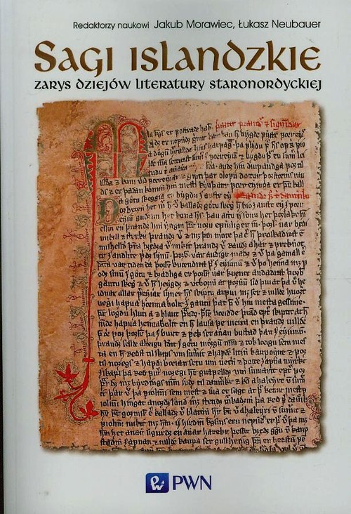 Sagi islandzkie. Zarys dziejów literatury staronordyckiej