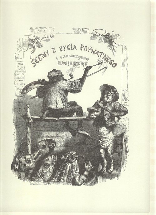 Sceny z życia prywatnego i publicznego zwierząt