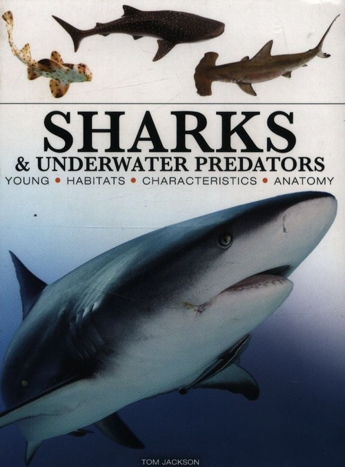 Sharks & Underwater Predators [mini edition]