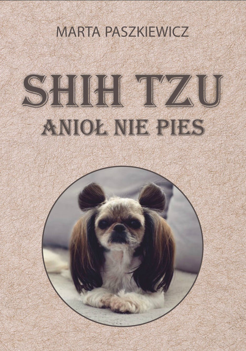 Shih tzu anioł nie pies