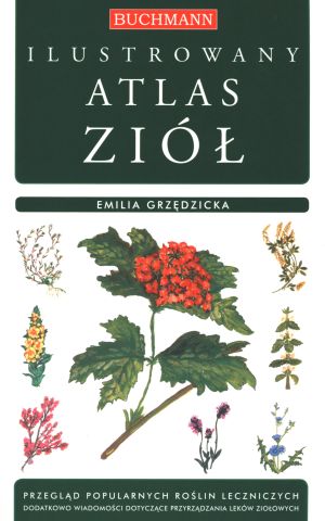 Skuteczny marketing na TikToku.