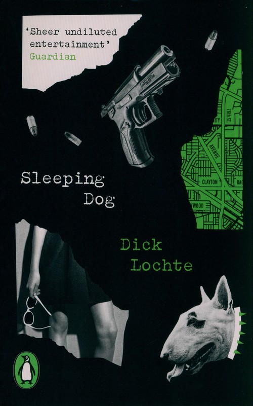 Sleeping Dog