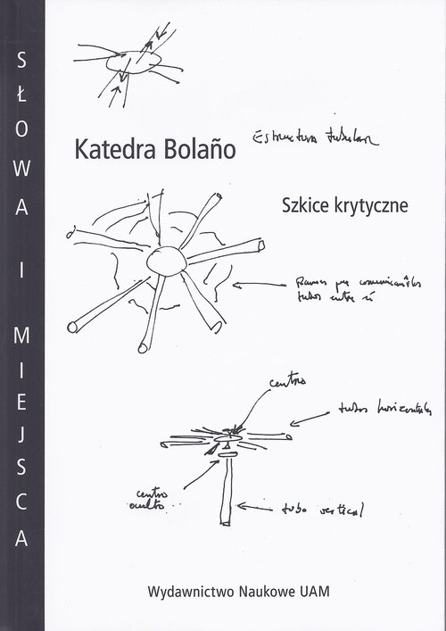 Słowa i miejsca. Katedra Bolano. Szkice krytyczne