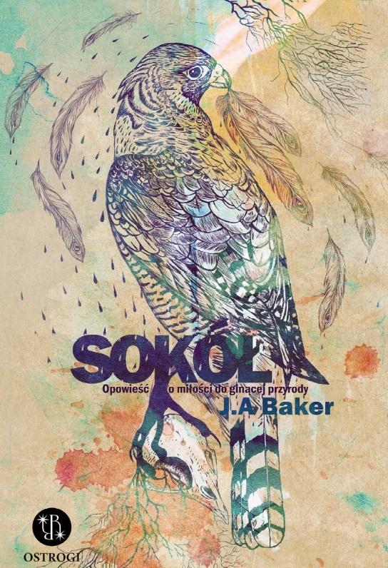 Sokół Opowieść o miłości do ginącej przyrody