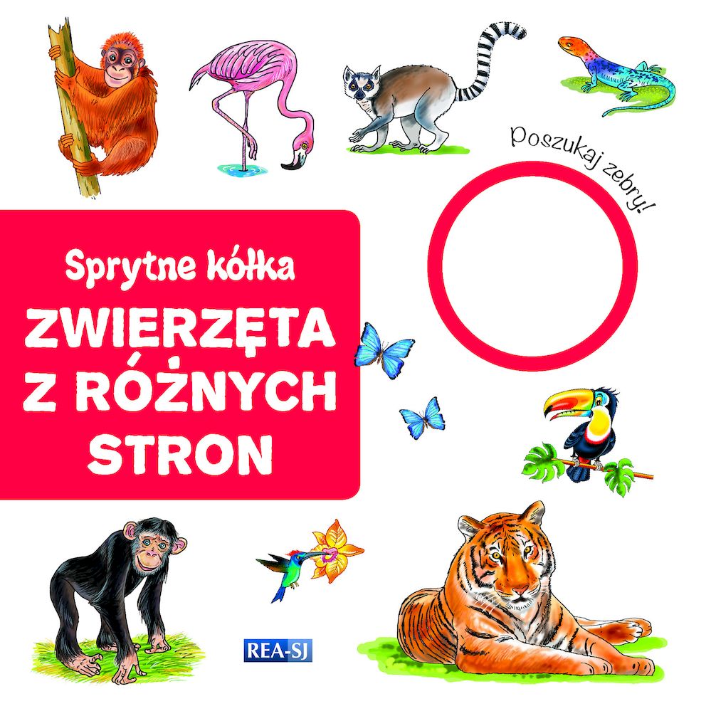 Sprytne kółka zwierzęta z różnych stron