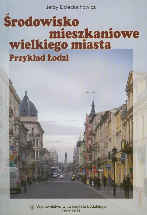 Środowisko mieszkaniowe wielkiego miasta