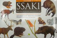 Ssaki Plansze edukacyjne