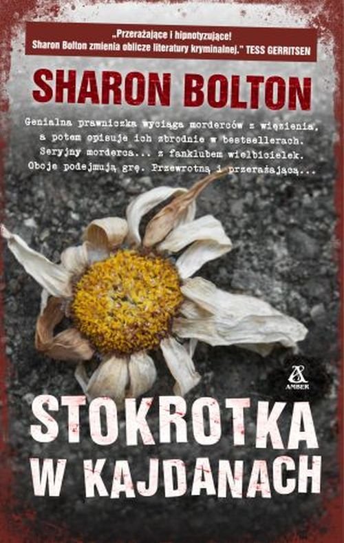 Stokrotka w kajdanach