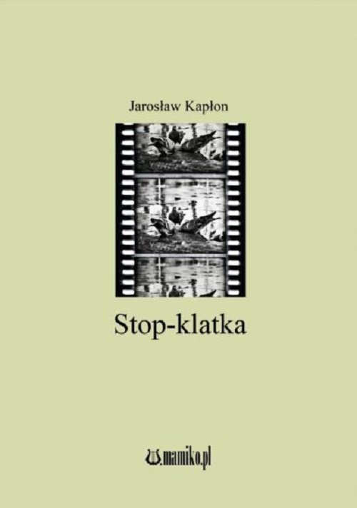 Stop-klatka