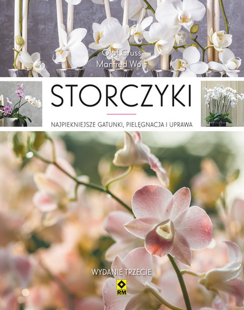 Storczyki Najpiękniejsze gatunki, pielęgnacja i uprawa