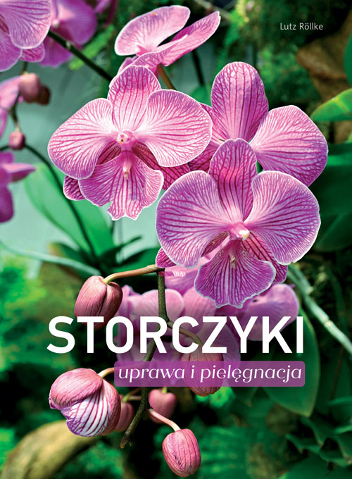 Storczyki Uprawa i pielęgnacja