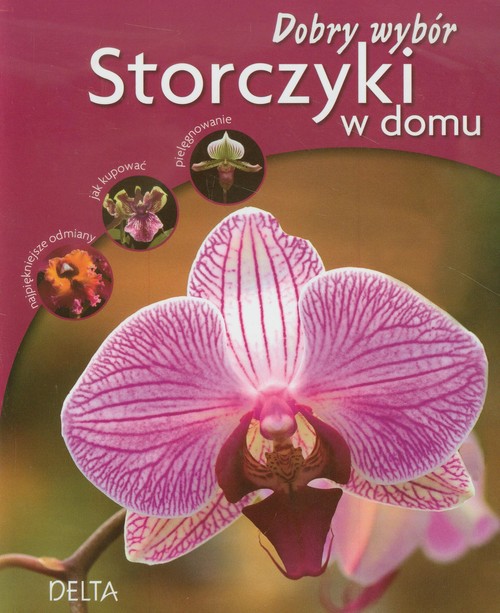 Storczyki w domu. Dobry wybór
