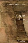 Strzęp całunu