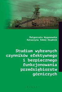 Studium wybranych czynników efektywnego i bezpiecznego funkcjonowania przedsiębiorstw górniczych
