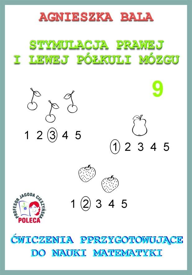 Stymulacja Prawej i Lewej Półkuli Mózgu Zeszyt 9 Ćwiczenia przygotowujące do nauki matematyki