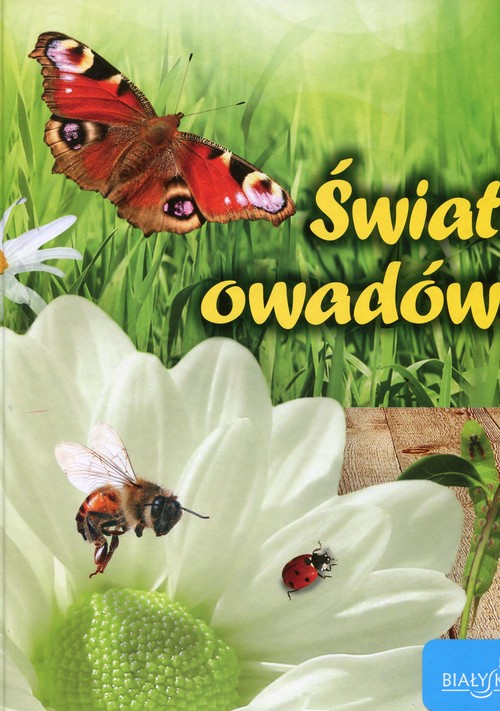 Świat owadów