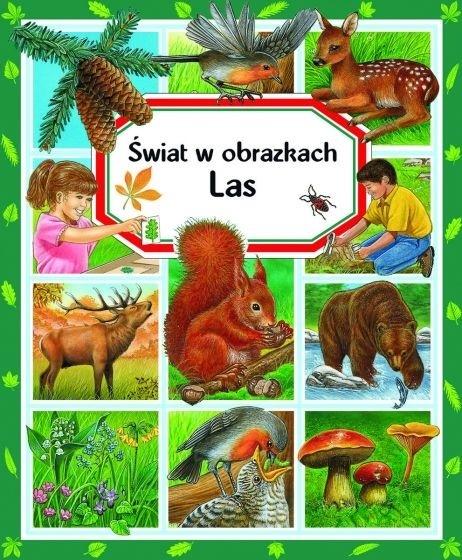 Świat w obrazkach Las