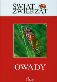 Świat zwierzat - Owady
