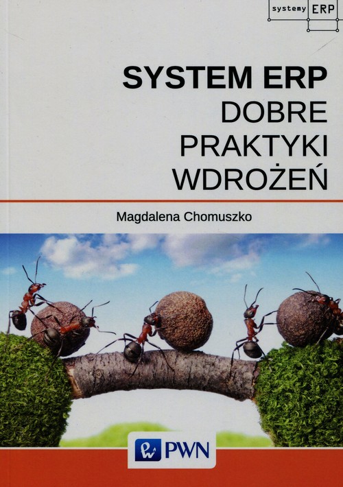 System ERP Dobre praktyki wdrożeń