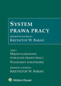 System prawa pracy Tom 10