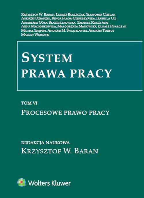 System prawa pracy Tom 6