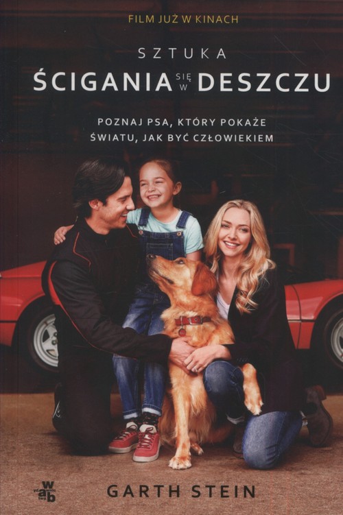 Sztuka ścigania się w deszczu