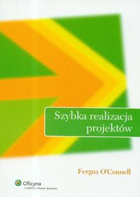 Szybka realizacja projektów