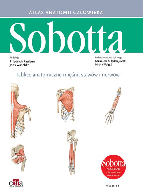 Tablice anatomiczne mięśni, stawów i nerwów. Angielskie mianownictwo