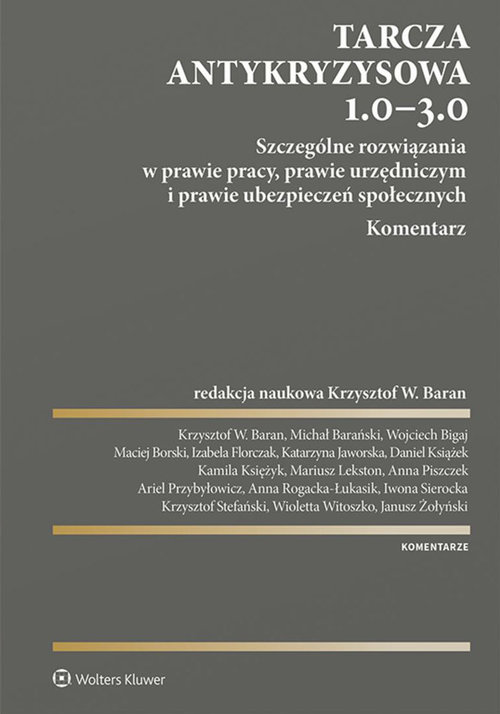 Tarcza antykryzysowa 1.0 - 3.0