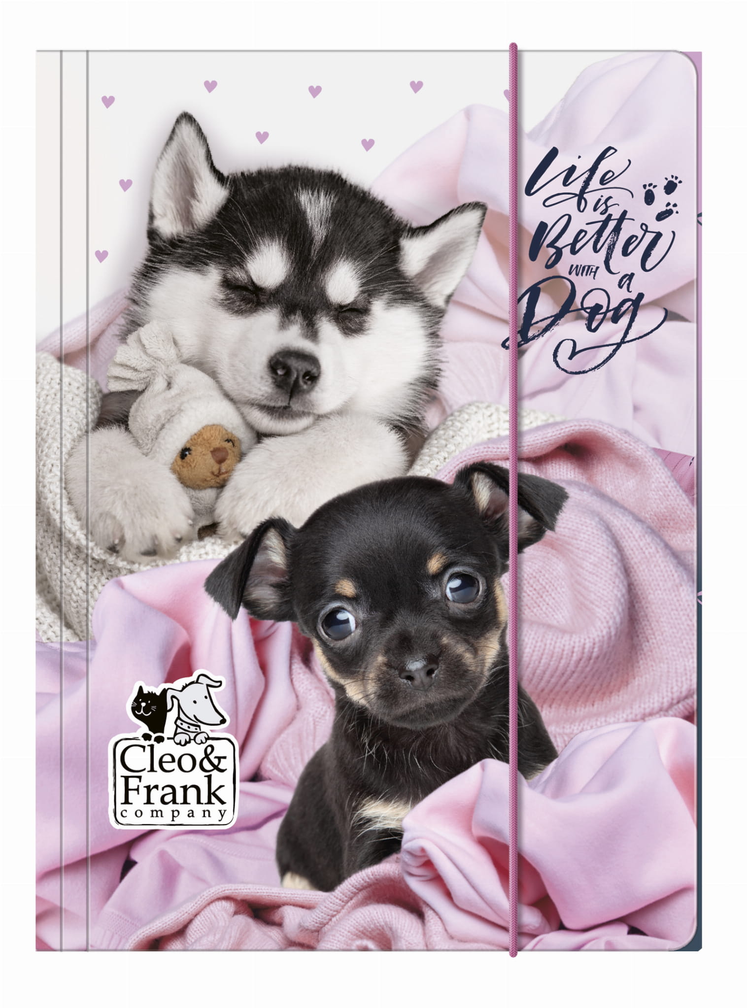 Teczka A4 z gumką Cleo i Frank 38 Pies