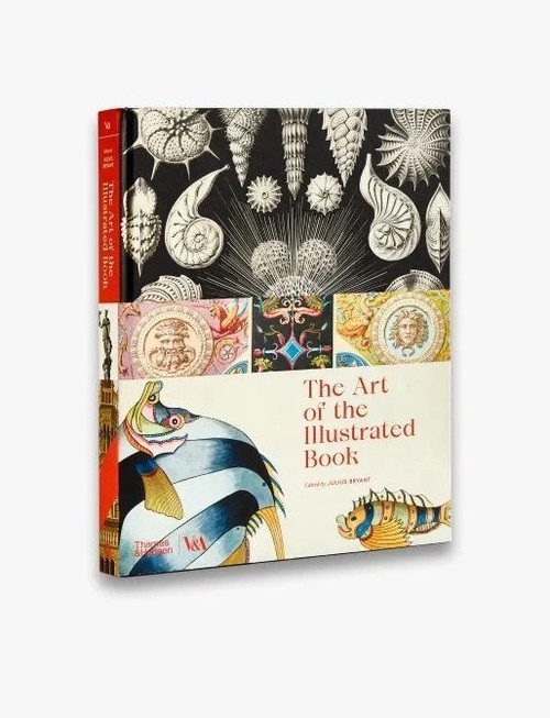 The Art of the Illustrated Book