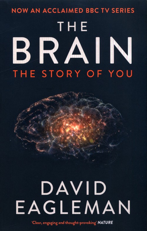 The Brain The Story of You