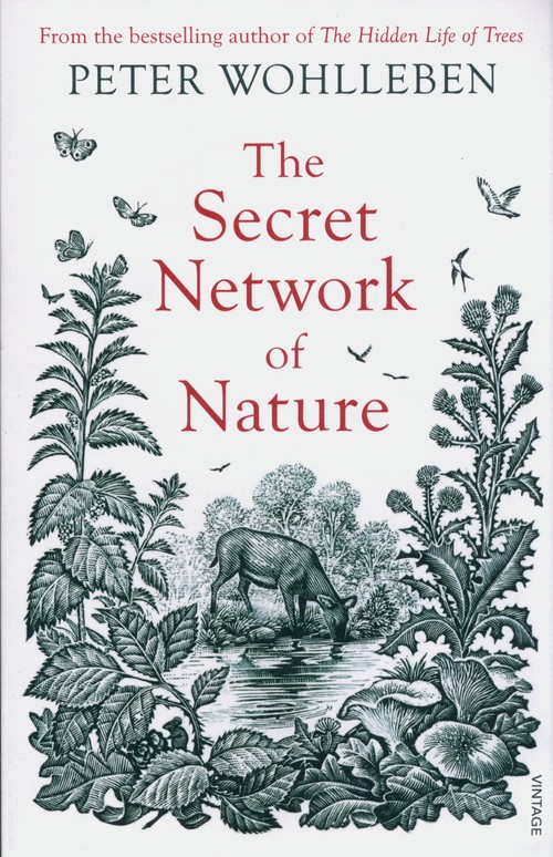The Secret Network of Nature