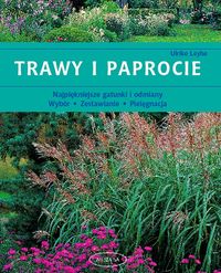 Trawy i paprocie