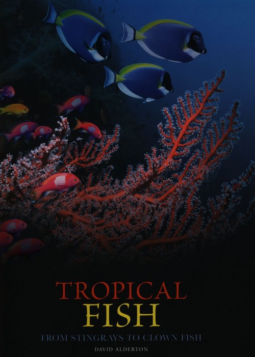 Tropical Fish